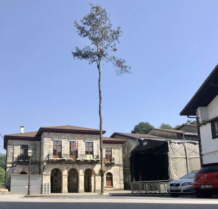 Plazan arbola altxau eta sanjuanak ospatuko ditue Ubiden