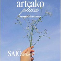 Arteako plazea bispentsetako saioa