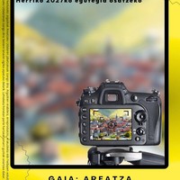 Argazki Lehiaketea Areatzan