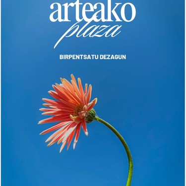 Arteako plazea bispentsetako saioa