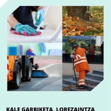 Batzar informatiboa