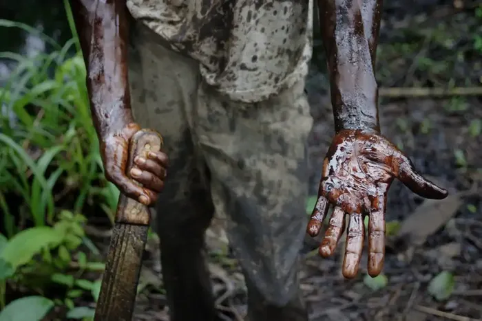 Nigeriaren egoereari buruzko berbaldia Basoan