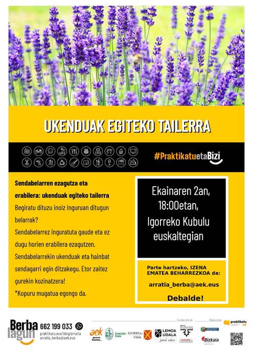 Berbalagunen tailerra Igorren