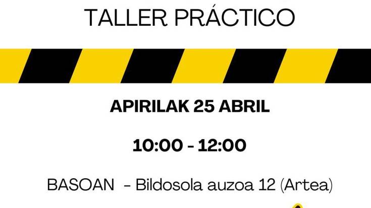 Tailer praktikoa Basoan