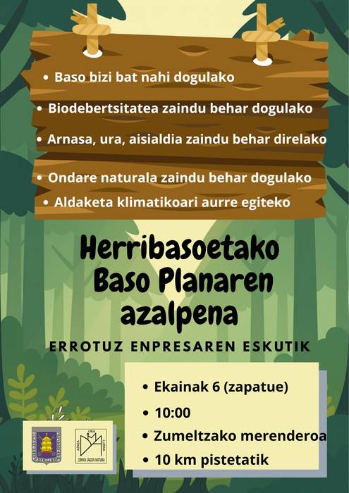 Baso planaren gaineko azalpen ibilaldia
