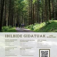 Ibilbide gidatua Areatzan