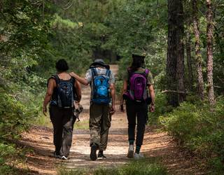 Zapatuan egingo da Dimako Zizetan mendi martxea