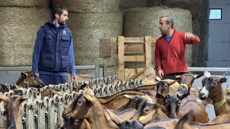 Ahuntz gaztaia ekoizten hasi dira Imanol Iturriotz eta Aritz Bengoa