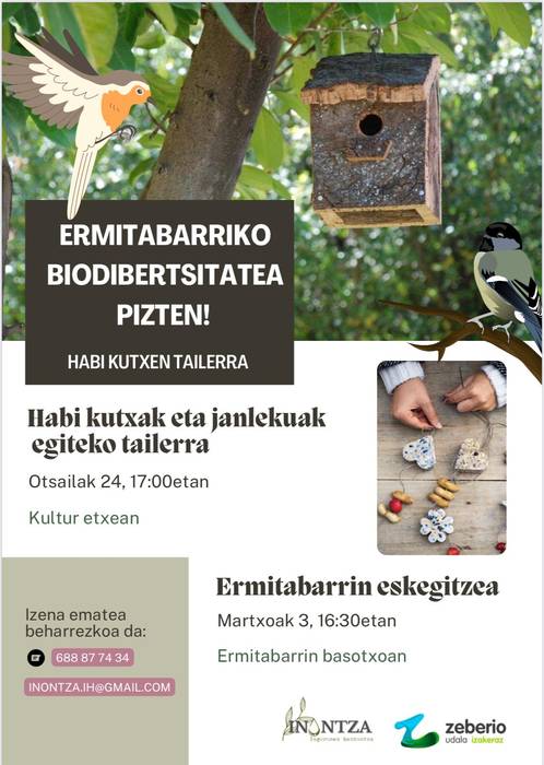 Ermitabarriko biodibersidadea pizten