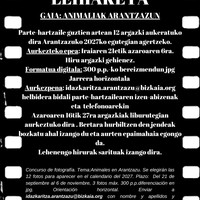 Argazki Lehiaketea Arantzazun