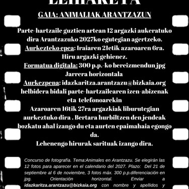 Argazki Lehiaketea Arantzazun