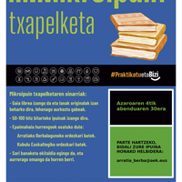 Mikroipuin Txapelketea