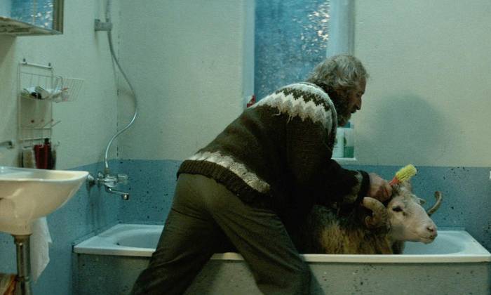 Islandiar zinema dakar eguazteneko Zineklub saioak