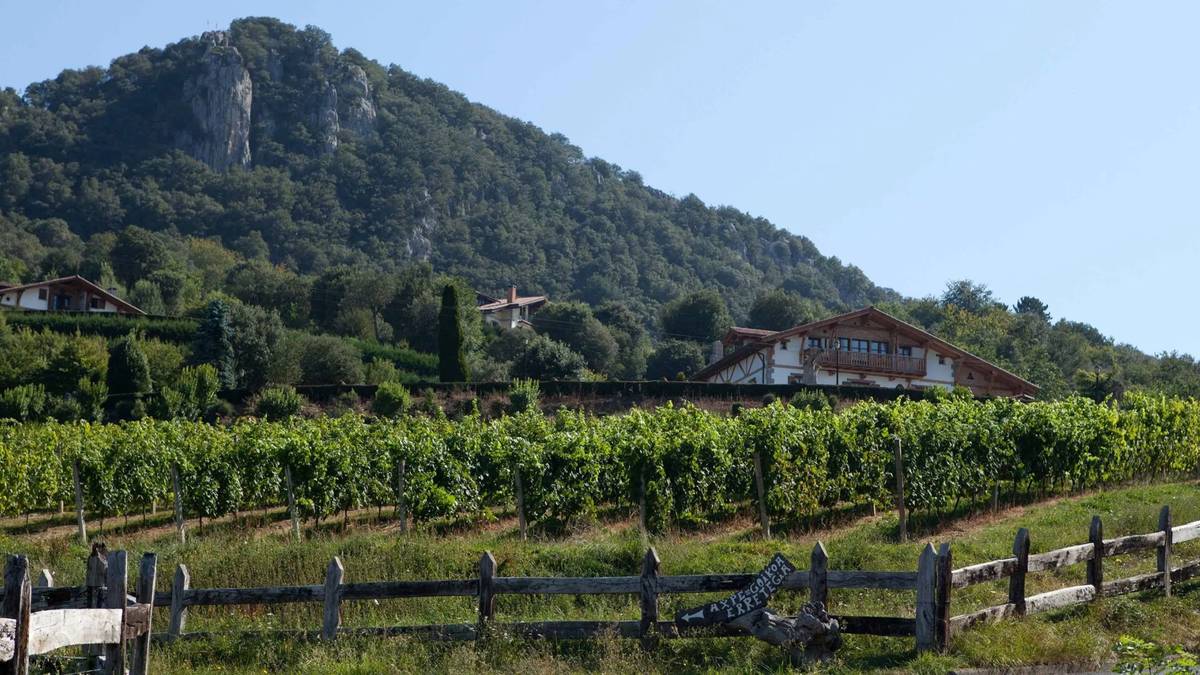 Garena Jatetxeko Txakolin Eguneko birentzako bazkaria irabazi ahalko dau BEGITUko irakurle batek