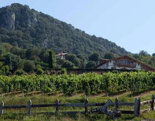 Garena Jatetxeko Txakolin Eguneko birentzako bazkaria irabazi ahalko dau BEGITUko irakurle batek