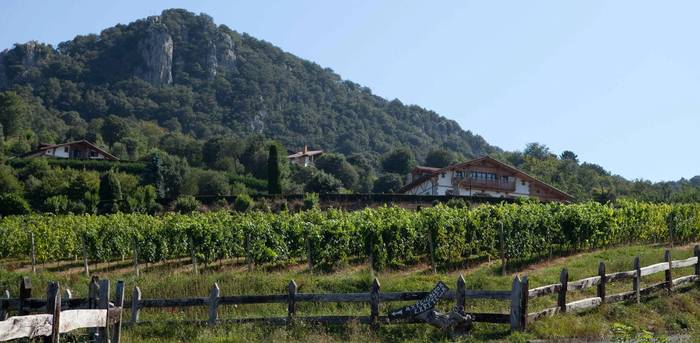 Garena Jatetxeko Txakolin Eguneko birentzako bazkaria irabazi ahalko dau BEGITUko irakurle batek