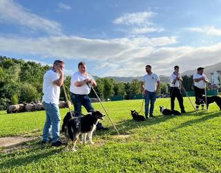 Arteako III. Artzai Txakurren Lehiaketea jokatuko da zapatuan