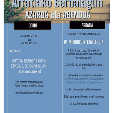 IV. Mikroipuin Txapelketea