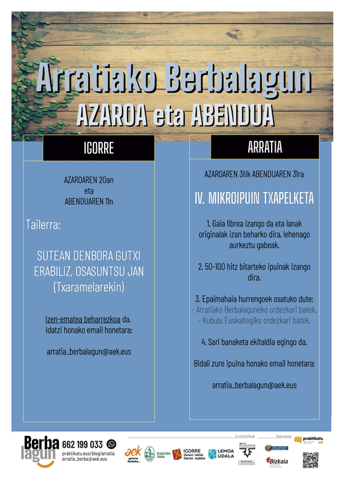 IV. Mikroipuin Txapelketea