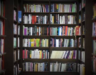 Zeberioko liburutegiaren berrantolaketea