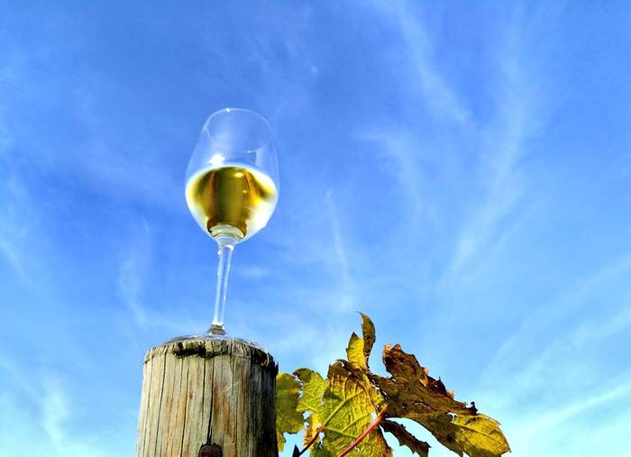 Txakolin Eguna Garena Jatetxean