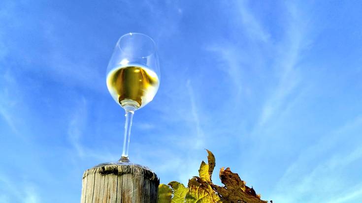 Txakolin Eguna Garena Jatetxean