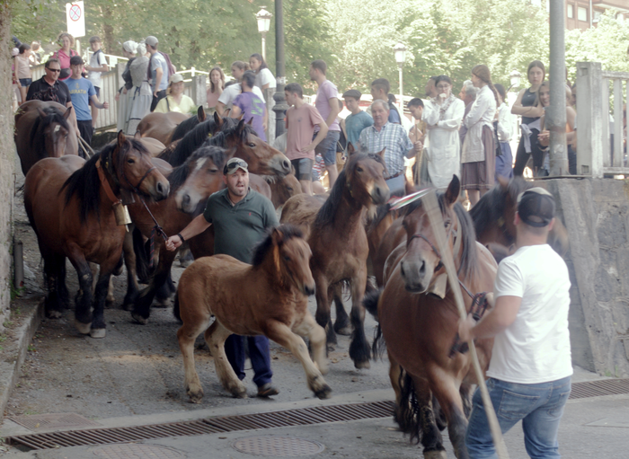 Sanisidroak ospatuko dira maiatzaren 15 eta 16an Zeanurin