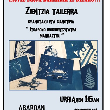 Bariku txiki Diman
