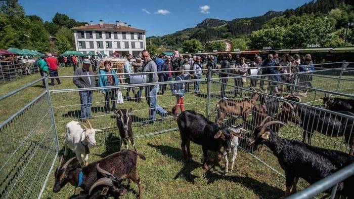 Astegoienean ospatuko dira Karpoko Jaiak