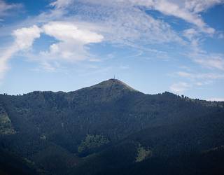 Kortaburun buzoi barria ipiniko dabe domekan