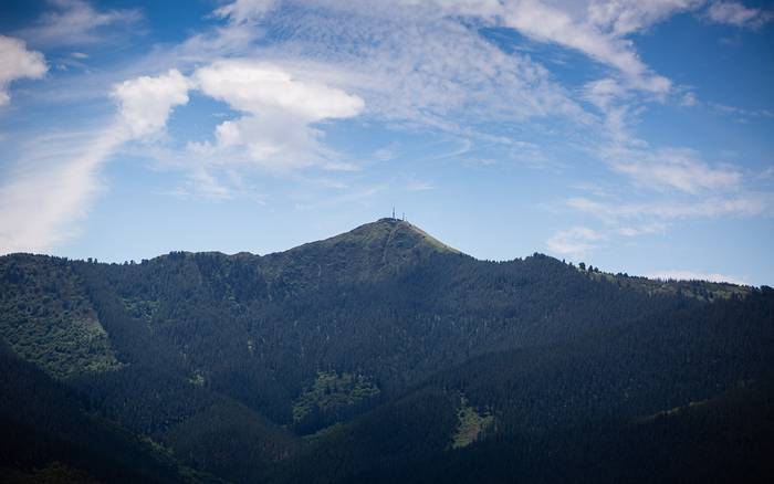 Kortaburun buzoi barria ipiniko dabe domekan