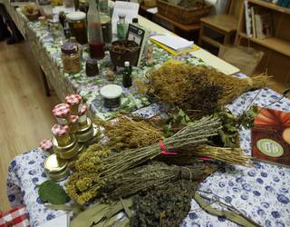 'Ekologia, Autogestioa eta Osasuna' jardunaldiak Basoan