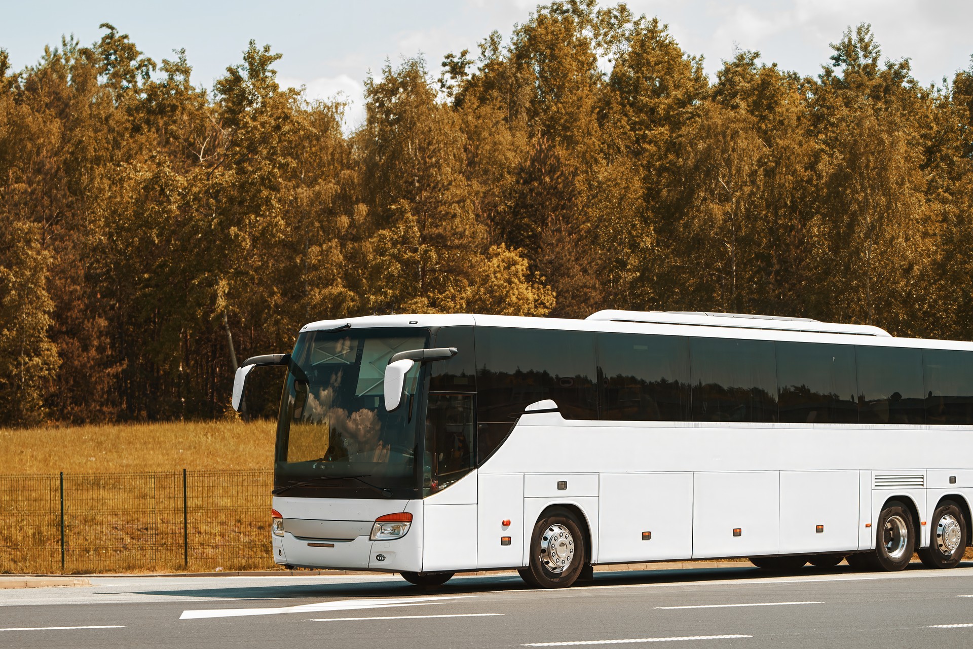 Areatzako jaietatik etxera bueltetako autobus zerbitzua