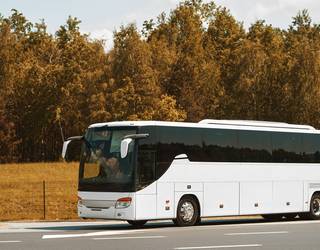 Areatzako jaietatik etxera bueltetako autobus zerbitzua