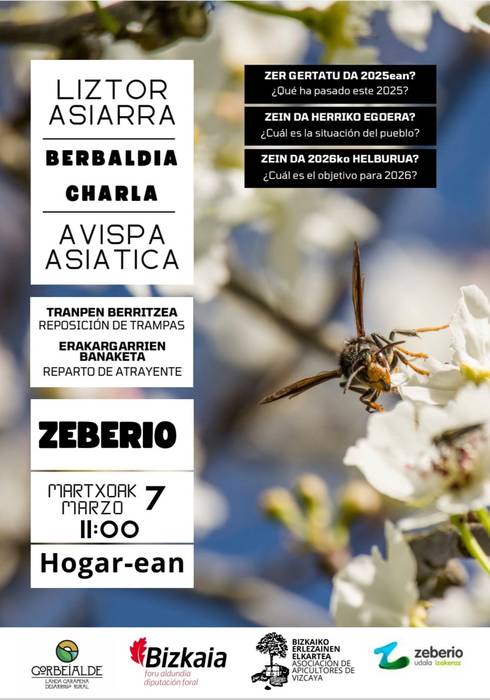 Liztor asiarraren gaineko berbaldia Zeberio