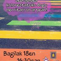 Zebrabidea koloreztatu Diman