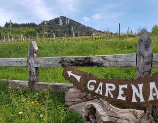 Garena Jatetxeko Txakolin Eguneko birentzako bazkariaren zozketea