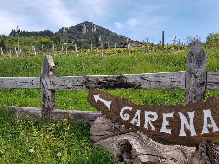 Garena Jatetxeko Txakolin Eguneko birentzako bazkariaren zozketea