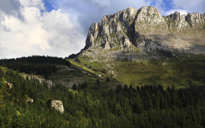 2026an federau txartela lortuteko eskaerak Zeanurin