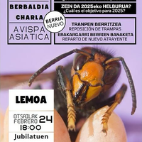 Liztor asiarra. Berbaldia Lemoan