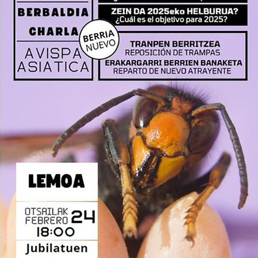 Liztor asiarra. Berbaldia Lemoan