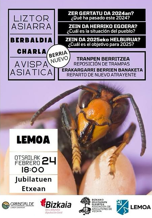 Liztor asiarra. Berbaldia Lemoan