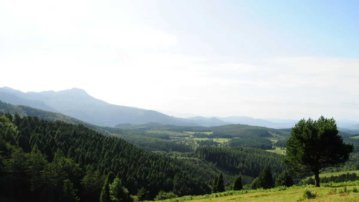 Pastuak ordainduteko epea zabalduko da Ubiden