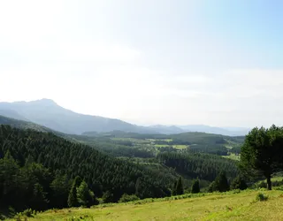 Pastuak ordainduteko epea zabalduko da Ubiden