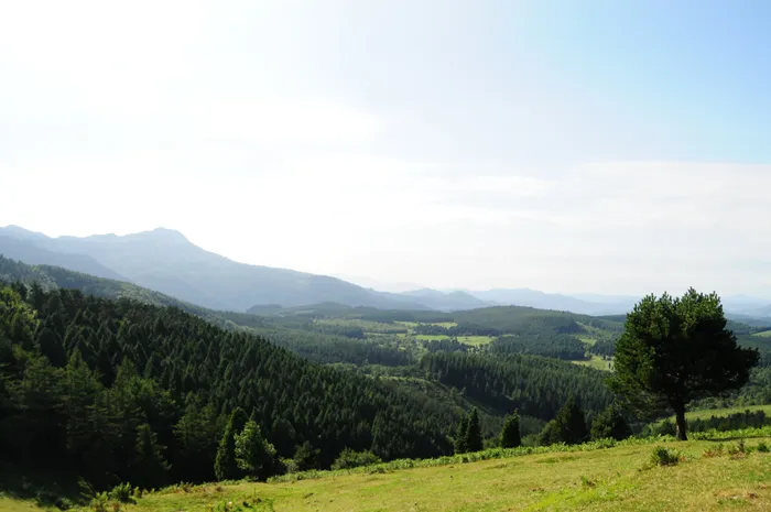 Pastuak ordainduteko epea zabalduko da Ubiden