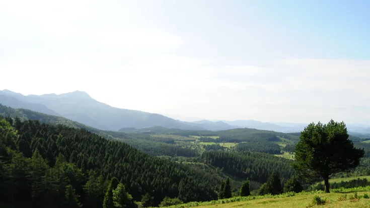 Pastuak ordainduteko epea zabalduko da Ubiden