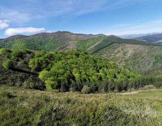 Zeanuri-Ubide Larreen Mankomunitatearen XIII. Zeharkaldia zapatuan