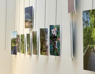 Argazki erakusketea Igorren