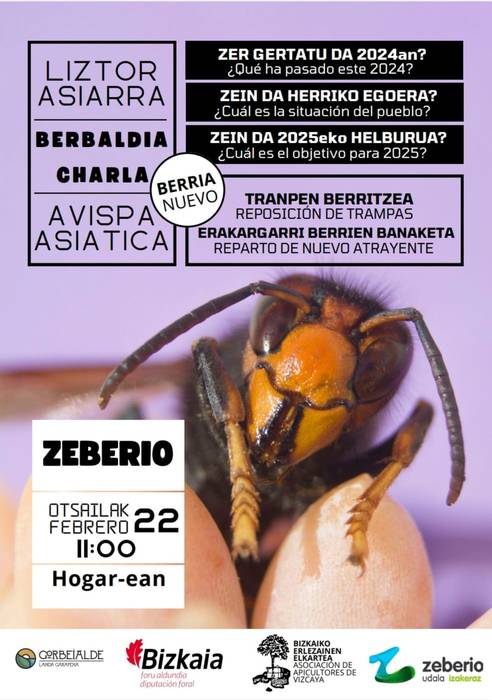 Liztor asiarra. Berbaldia Zeberion