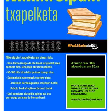 IV. Mikroipuin Txapelketea